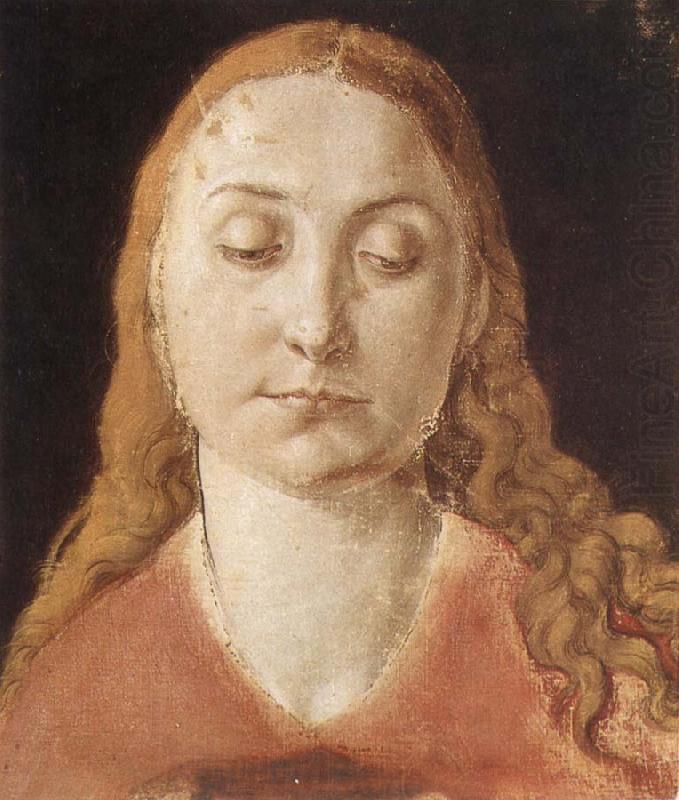 Portrait of a woman with Loose Hair, Albrecht Durer